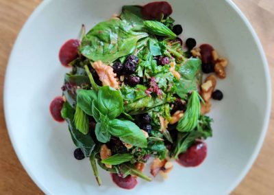 Saskatoon Kale Salad
