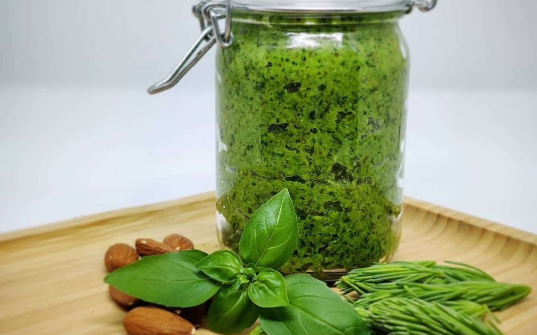 Spruce Tip Pesto