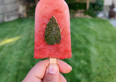 Watermelon Mint Popsicles