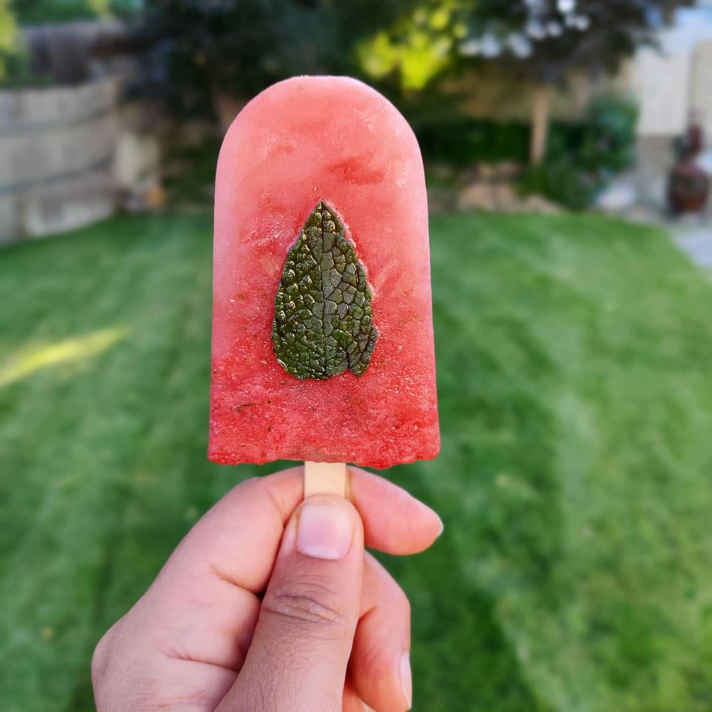 watermelon pops