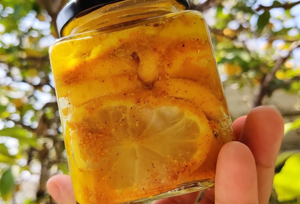 Curry & Fenugreek Preserved Lemons